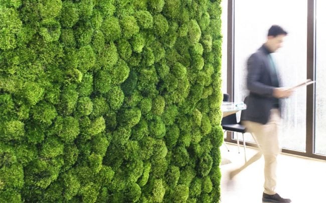 Green walls are cost effective