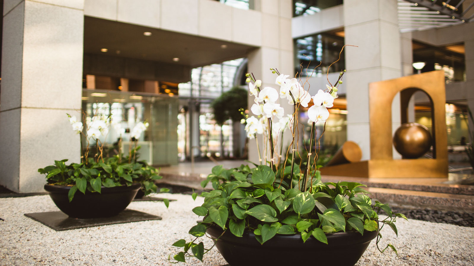 Plants placed on the reception desk in a hotel