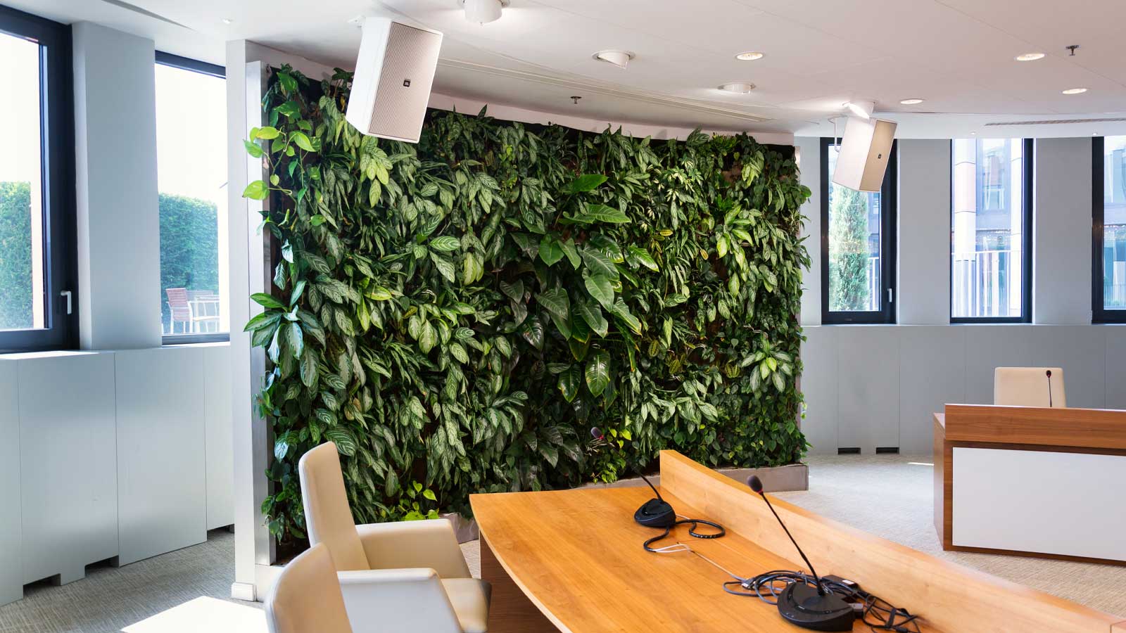 Green living wall in an office space 