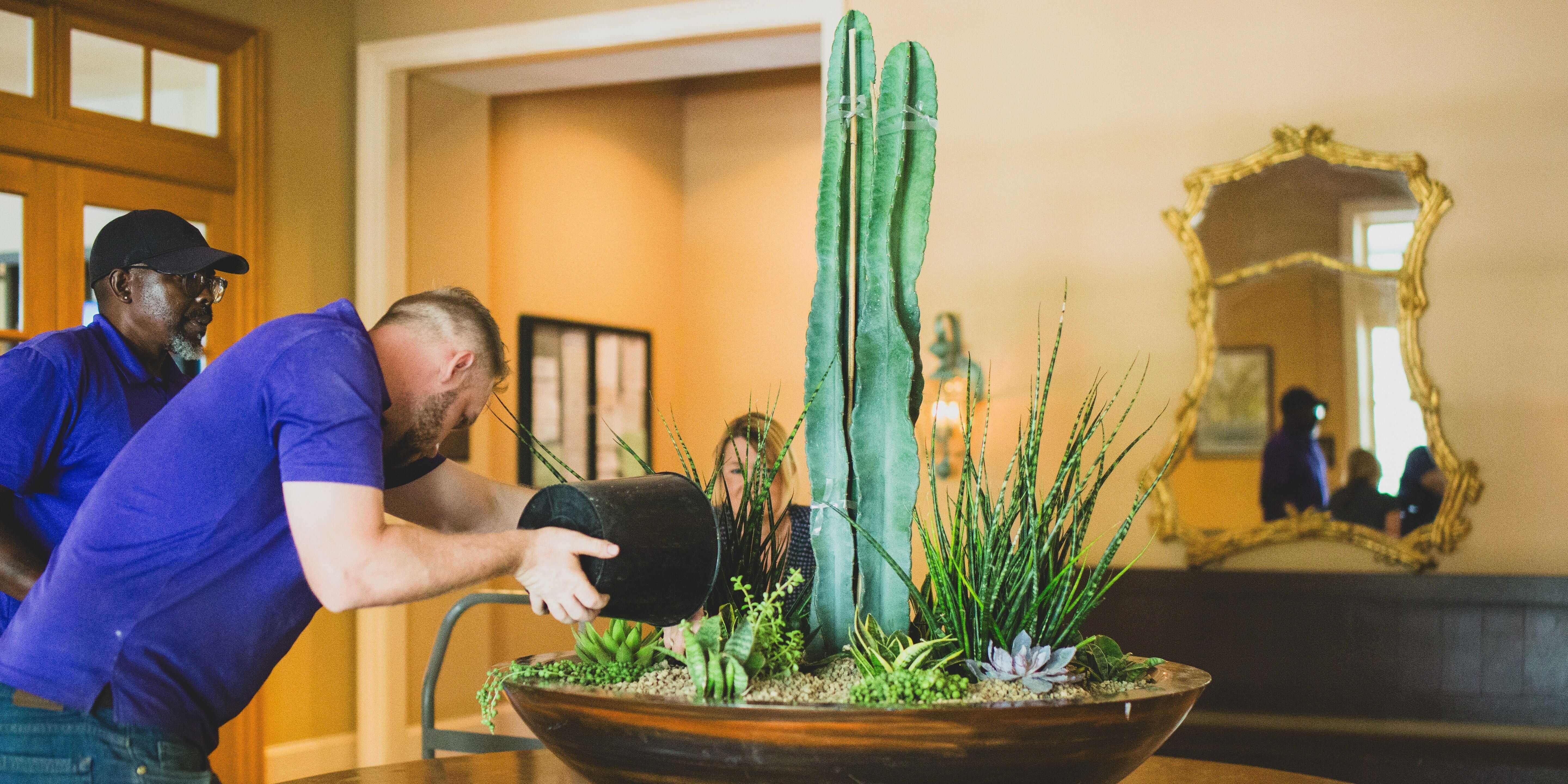 The team at Natura maintaining the plants 