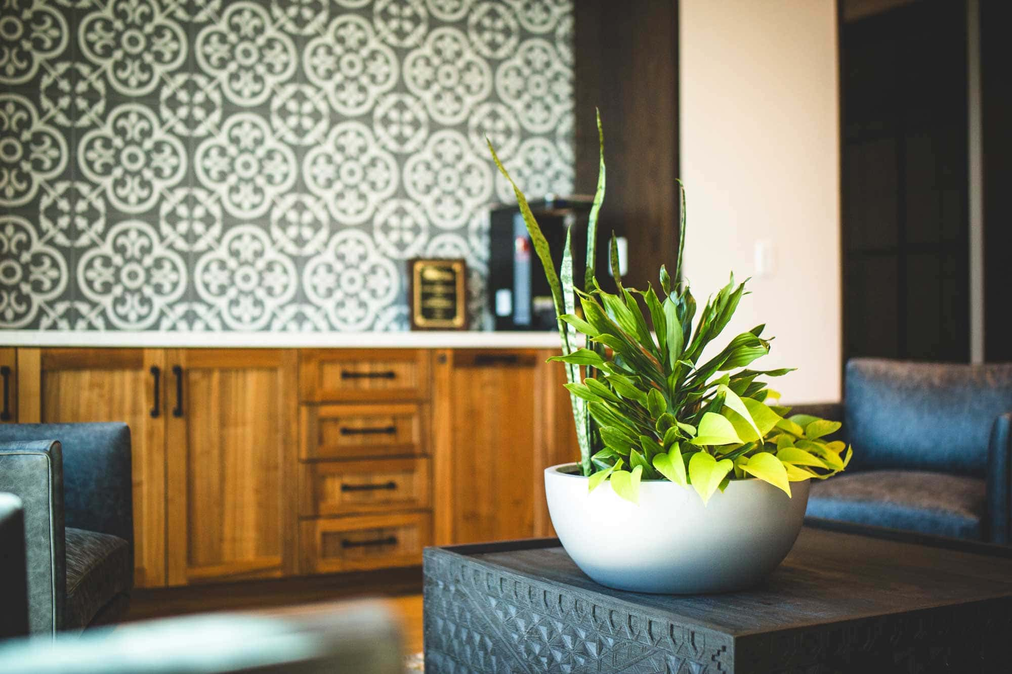 Plants in planter bowl in office waiting room