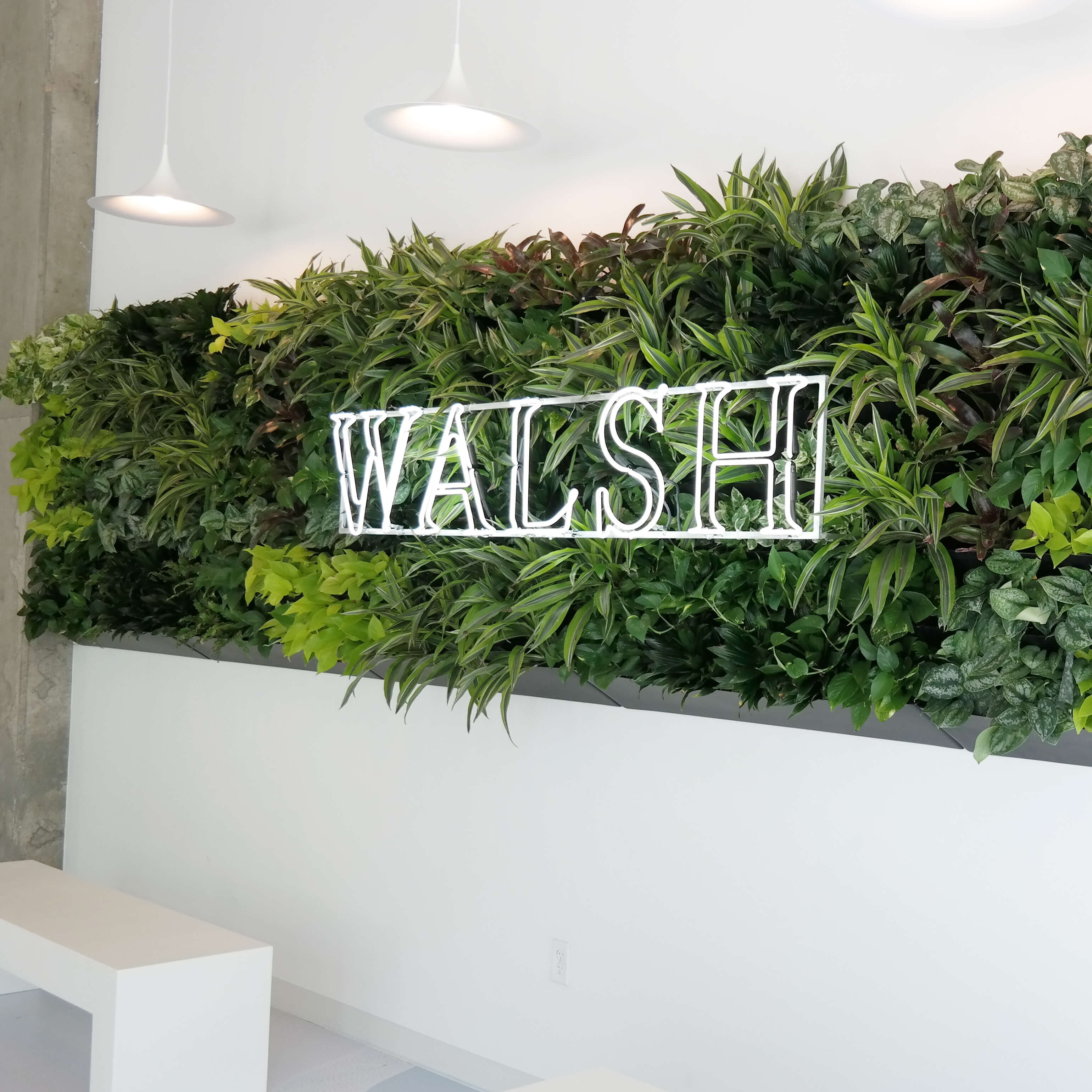 Benefits of Live Green Walls in Urban Areas | Natura