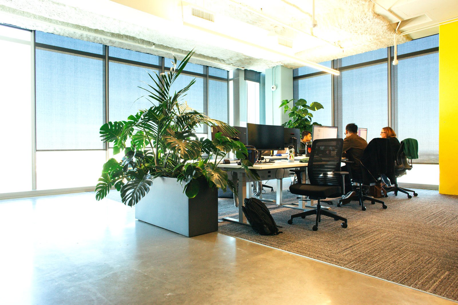 What to include in your corporate plant service contract in 2026